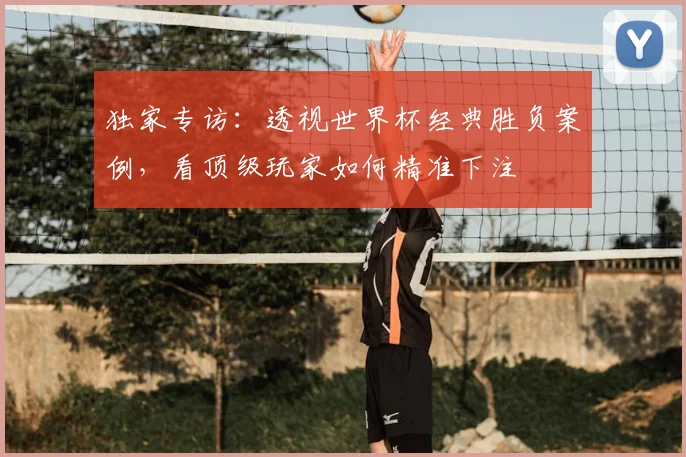 独家专访：透视世界杯经典胜负案例，看顶级玩家如何精准下注