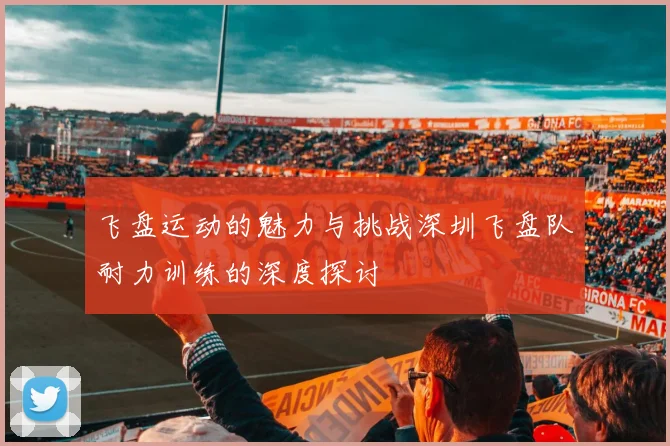 飞盘运动的魅力与挑战深圳飞盘队耐力训练的深度探讨
