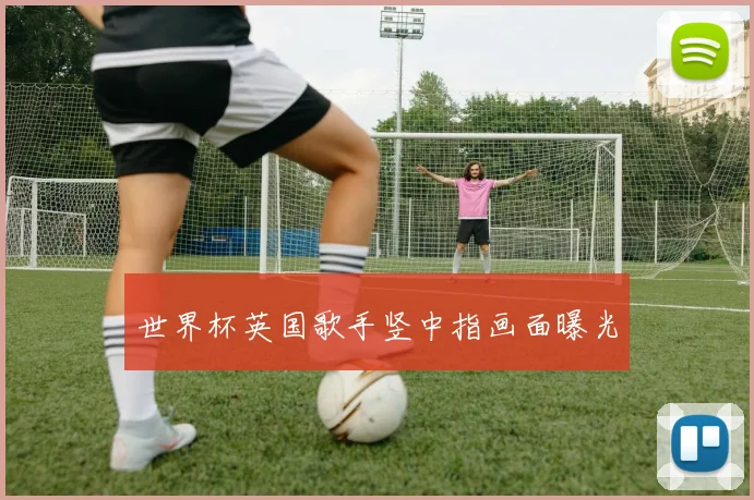 世界杯英国歌手竖中指画面曝光