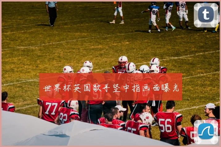 世界杯英国歌手竖中指画面曝光