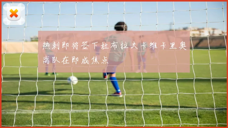 热刺即将签下杜布拉夫卡维卡里奥离队在即成焦点