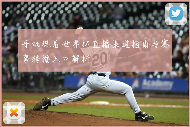 手机观看世界杯直播渠道指南与赛事转播入口解析