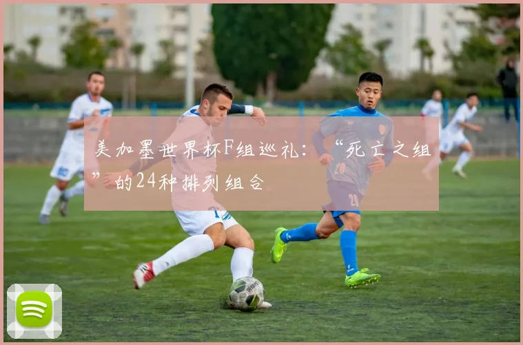美加墨世界杯F组巡礼:“死亡之组”的24种排列组合