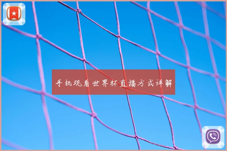 手机观看世界杯直播方式详解